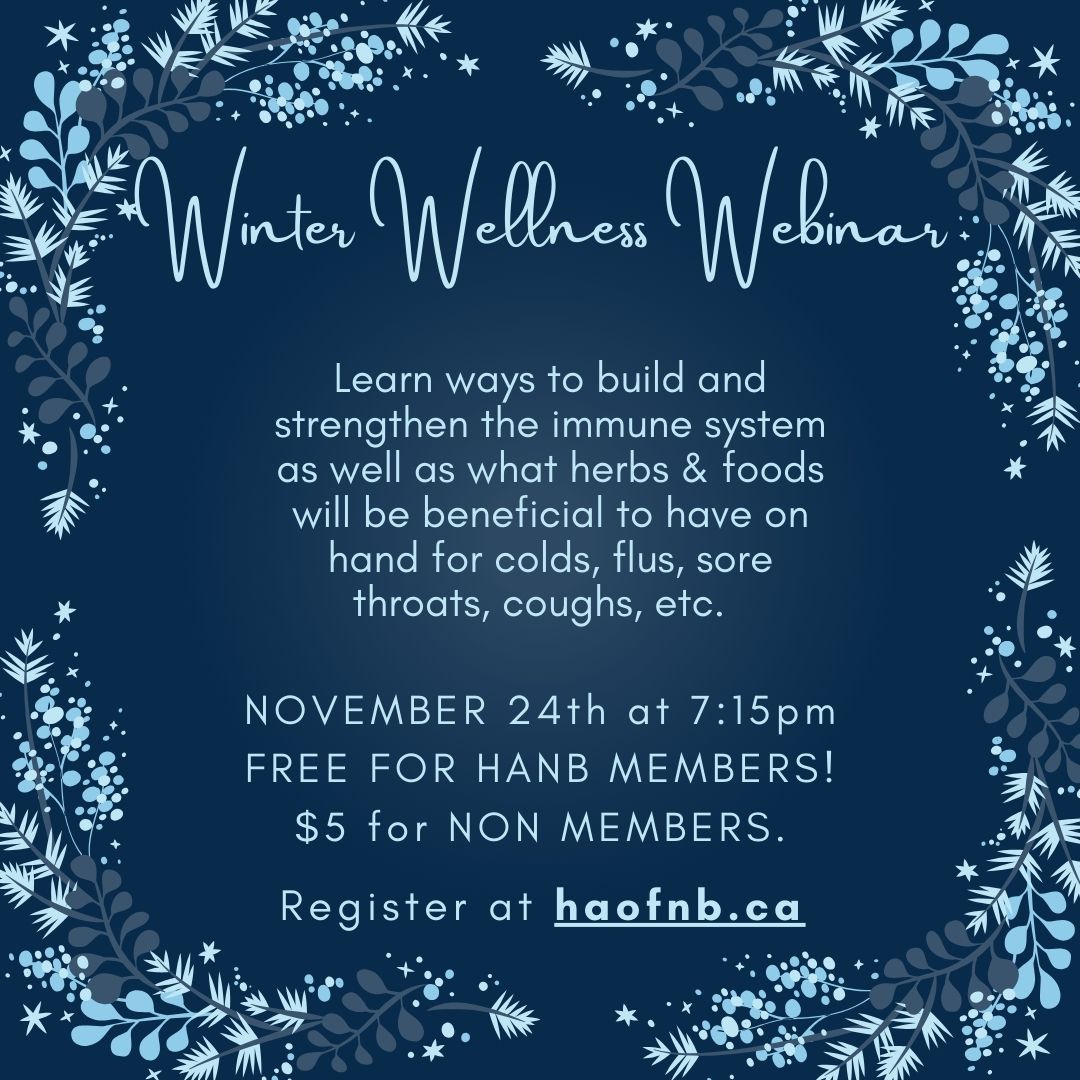Winter Wellness Webinar (1)