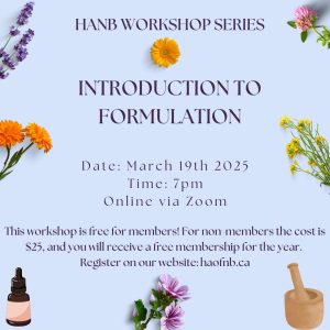 March 2025 Workshop- Introduction to Formulation